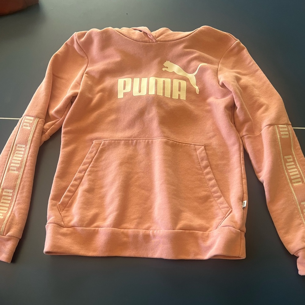 Pink Puma Hoodie